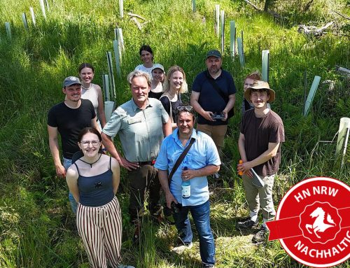 Klimaresiliente Wälder: Klimawald Höxter