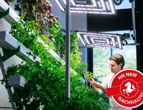 TH Köln entwickelt neue Indoor-Farming-Technologien