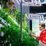 Ein Bild von einer Indoor Farm mit einem Forscher, der daran arbeitet
