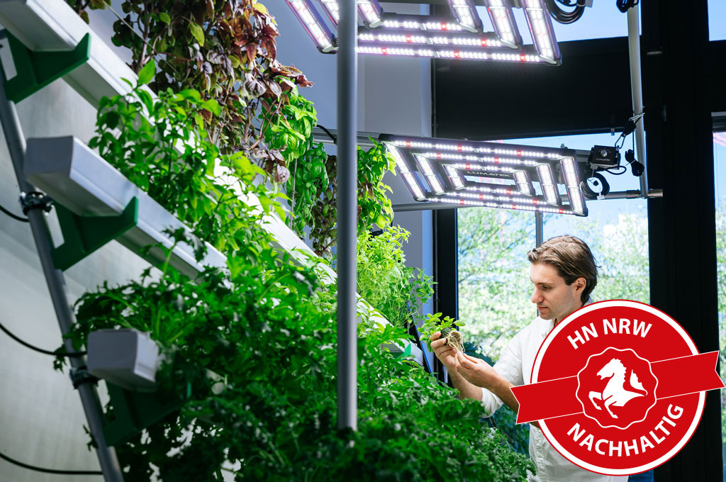 Ein Bild von einer Indoor Farm mit einem Forscher, der daran arbeitet