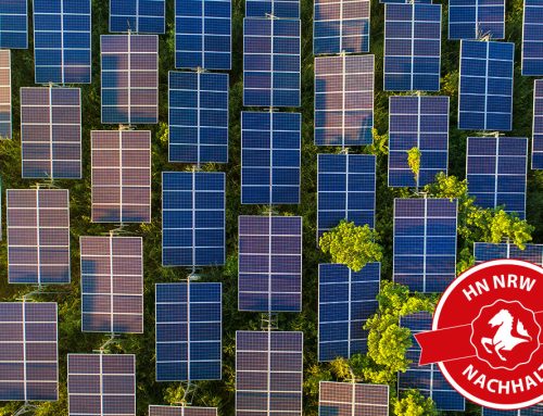 TH Köln entwickelt nachhaltigere Solarmodule