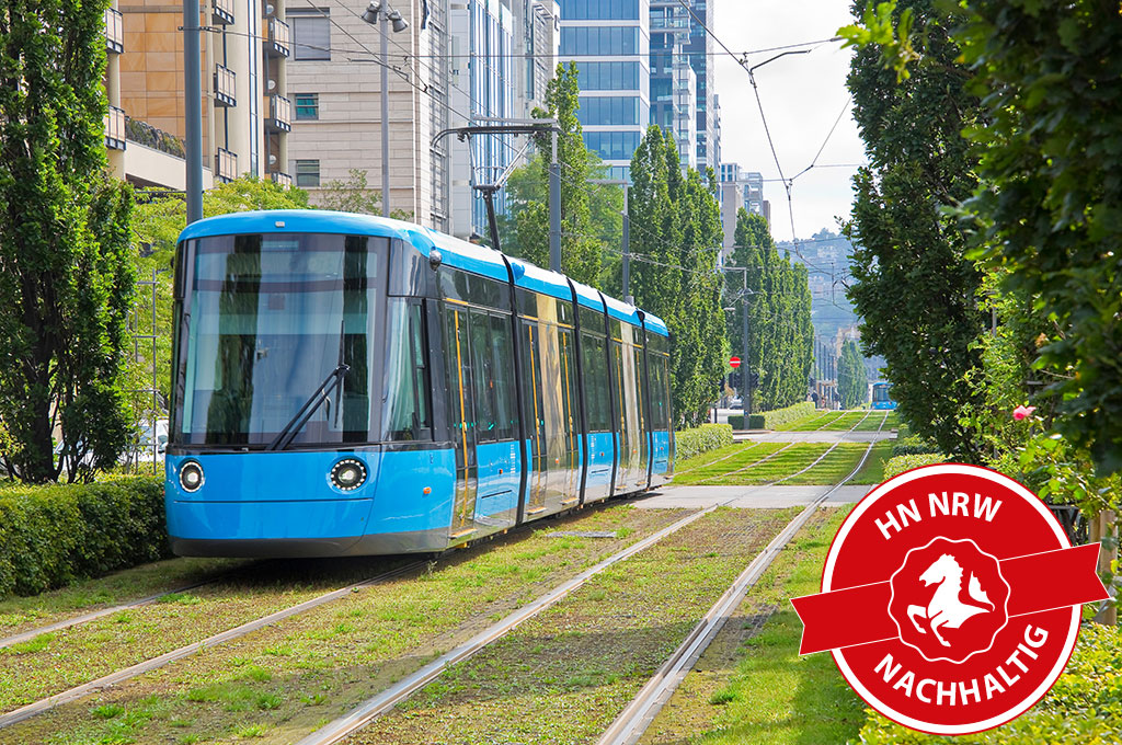 Ein Bild von einer blauen Straßenbahn in einem grünen Stadtviertel
