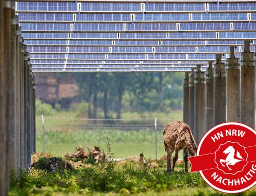 HSHL: Tierpark Hamm nachhaltig mit Energie versorgen