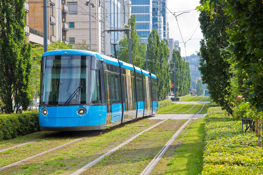 Ein Bild von einer blauen Straßenbahn an einer begrünten Bahnspur